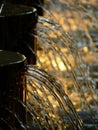 Water fountain closeup Royalty Free Stock Photo