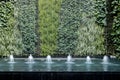 Water fountain with living plant wall