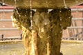 water fountain with lions in the city of tigre  argentina Royalty Free Stock Photo