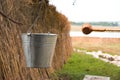 A water fountain with an old bucket and a makeshift mug made of pumpkin