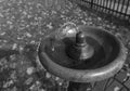Water fountain in the park Royalty Free Stock Photo