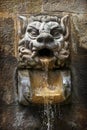 Water fountain shaped as the head of a lion