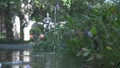 Water fountain in slow motion, asian garden