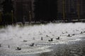 Water fountains by Moscow State University named after Lomonosov, main building Royalty Free Stock Photo