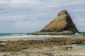 Water fowl nesting area on the coast Royalty Free Stock Photo