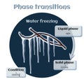 Water freezing - icicles on tree branches. Phase transition from liquid to solid state.