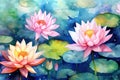 Water garden beauty flower plant background blossom nature lily lotus green Royalty Free Stock Photo