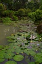 Water Garden in Taipei, Republic of China