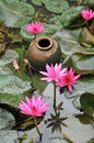 Water garden, Thailand Royalty Free Stock Photo