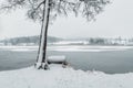 Water gate with tree on pond shore in winter czech landscape. Calm reflection scene Royalty Free Stock Photo