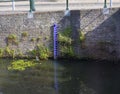 Water gauge