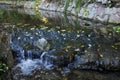 Water gently flowing over rocks Royalty Free Stock Photo