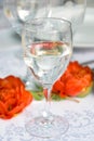 Water glass Royalty Free Stock Photo