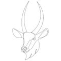 Water goat head in continuous line art drawing style. Waterbuck minimalist black linear sketch isolated on white Royalty Free Stock Photo