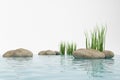 Water, grass and stone Royalty Free Stock Photo