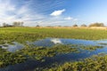 Water in a green farmland, Zarzecze, Lubelskie, Poland Royalty Free Stock Photo