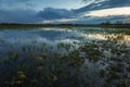 Water in a green meadow with flowers, spring evening