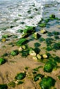 Water and green stones