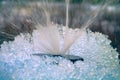 Water gushes from an artesian well