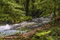 Water gushes down the lower reaches of the waterfalls at Marmore, Umbria, Italy