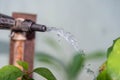 Water gushing over garden plants
