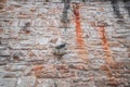 Water gutter stone on an old medieval masonry stone wall stone wall with weather and water stains, Germany Royalty Free Stock Photo