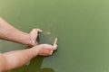 Water hands with drought. Royalty Free Stock Photo