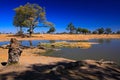 Water hole in Africa. Tipical African ladscape with dark blue sky. Water lake in Botswana. Trees with pond. Royalty Free Stock Photo