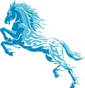 Water Horse in Side View Royalty Free Stock Photo