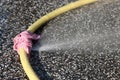 Water hose