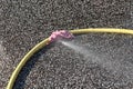 Water hose