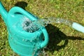 The water hose flows from the garden hose into the watering can. Wasteful wasting water. Royalty Free Stock Photo