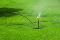 Water hose green grass wet. irrigation spray Royalty Free Stock Photo