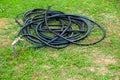 Water hose green grass wet. lawn nature Royalty Free Stock Photo