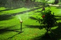 Water hose green grass wet. lawn sprinkler Royalty Free Stock Photo