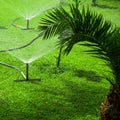 Water hose green grass wet. sprinkler environment Royalty Free Stock Photo