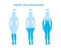 Water in the human body. Female, Difference percentage . Vector