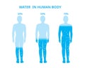 Water in the human body. Female, Difference percentage . Vector