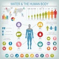 Water and human body infographic