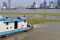 Water Hyacinth in river in Shanghai