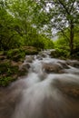 Water Inside jungle