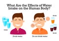 Water Intake on the human body