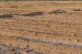 Water irrigated field background photo