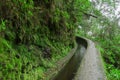 Water irrigation channel, called levada, and footpath for walking near it, in Folhadal, foggy forest, near Encumeada, Madeira isla