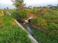 Water irrigation channels in rice fields Royalty Free Stock Photo