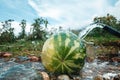 Water jet cooling the ripe water melon on stream