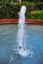 Water jet in the pool on the background of tropical plants, vertical Royalty Free Stock Photo