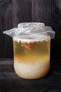 Water Kefir