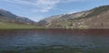 Water. Lake at the foot of the mountain. Snow caps. Green meadow and small houses in the forest. Beautiful green fields. 3d render