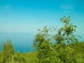 Water of Lake Ochrid and nature of Galicica National Park